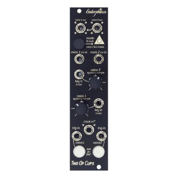 Endorphin.es Two Of Cups Eurorack Dual Sample Player Module (Black)